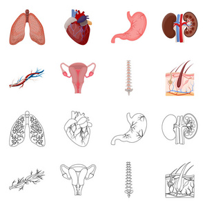 人体和人体图标的矢量图示。收集身体和医学矢量图标的股票