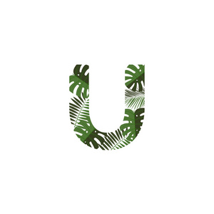 热带丛林矢量标志字母U.U.字母设计矢量丛林怪物叶。