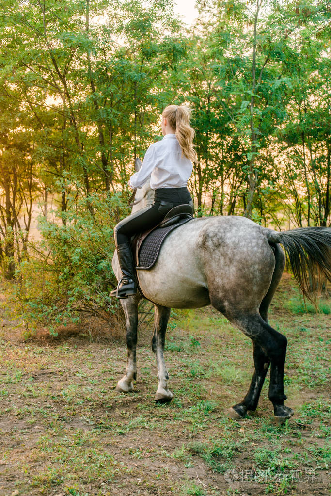 美丽的年轻姑娘一头浅发参加统一的比赛微笑着在秋天的日落中骑着一匹