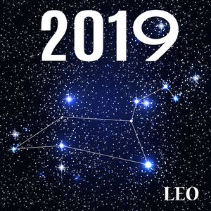 符号利奥十二生肖与新年和圣诞节2019。矢量插图。 eps10