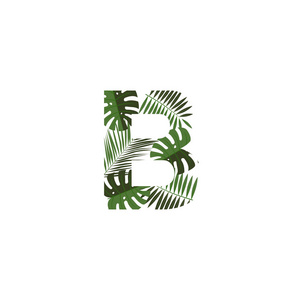 热带丛林矢量标志字母b.b字母设计矢量丛林怪物树叶。