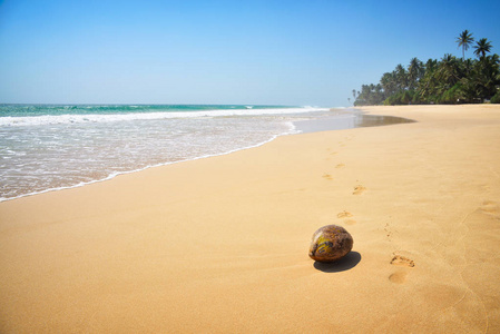 在斯里兰卡的热带海滩