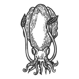墨水墨鱼墨鱼海动物雕刻矢量图.刮板风格模仿.黑白手绘图像照片