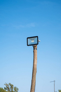 LED路灯安装在木树干上，顶着蓝天