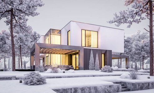 现代舒适住宅的三维渲染与车库和花园。凉爽的冬天的夜晚，从窗户发出舒适温暖的光。出售或出租与美丽的白色云杉背景。