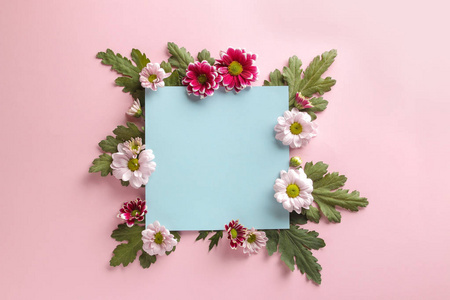 秋花菊蓝色空白为一个铭文上的时髦粉红色背景。 顶部视图