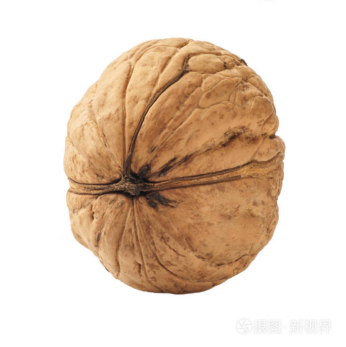 在白色背景下分离的单个核桃