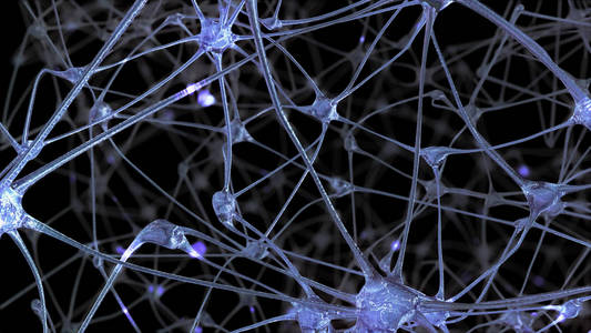 在人脑内部传递信息时,电脉冲和放电通过这种网络照片