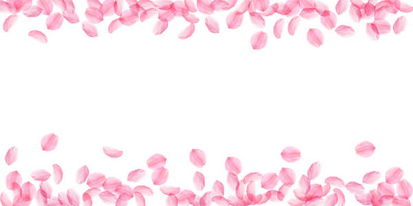樱花花瓣落下。浪漫的粉红色丝质大花。厚飞的樱桃花瓣。宽 scatte