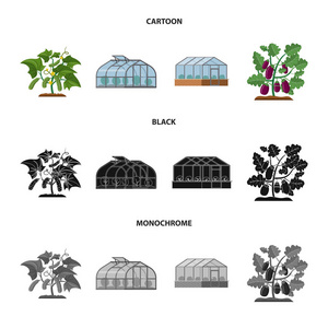 温室和植物符号的向量例证。一套温室和花园股票符号的网站