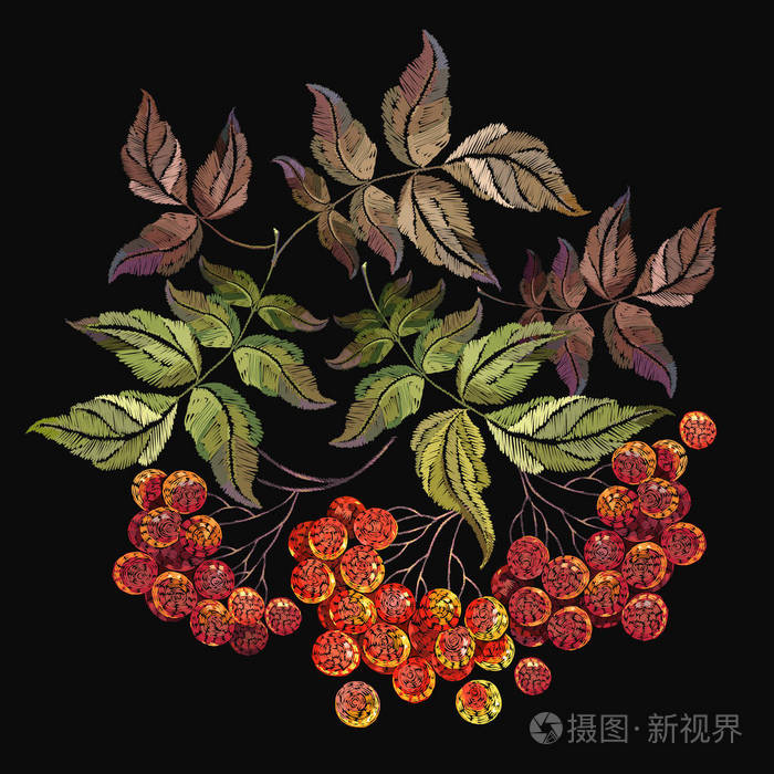 刺绣红枝的山灰浆果. 时尚复古模板设计服装. 经典刺绣红莓山灰