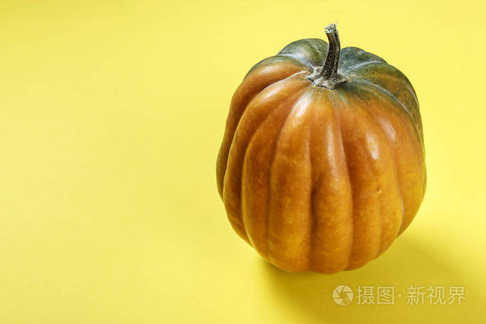 有用的秋菜全圆南瓜在黄色背景上德克萨斯的地方