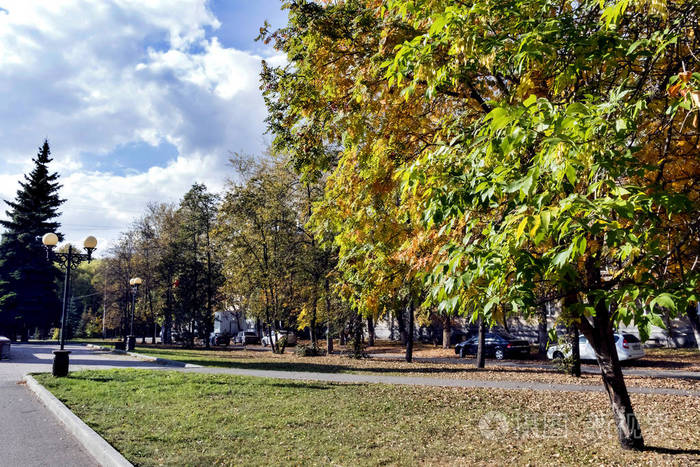 秋天的风景在城市的郊区房子树树叶秋天