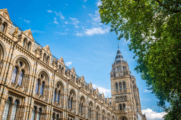 英国伦敦自然历史博物馆令人印象深刻建筑的高塔