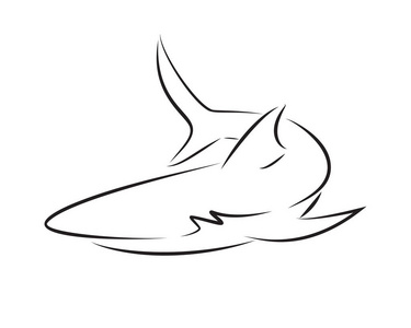 黑线鱼白色背景上的黑线鲨鱼. 手绘矢量图形.照片