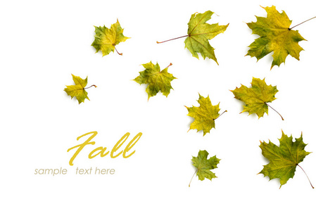 秋季作文。由秋天的枫叶制成的框架。平躺, 顶部视图, 复制空间