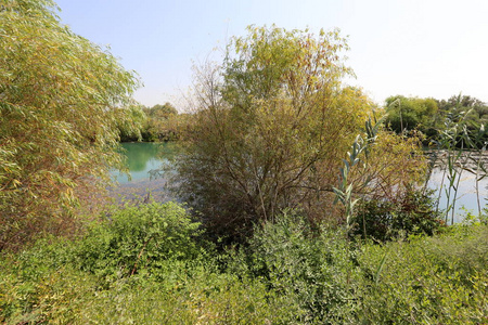 以色列北部自然保护区内的湖泊