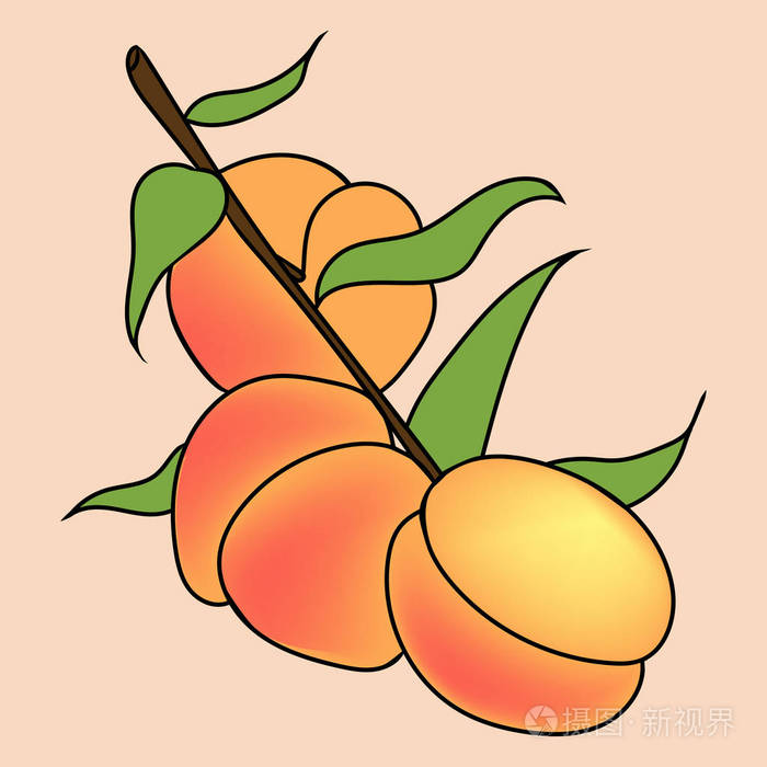 手绘插图的桃在卡通风格.完美的菜单, 卡片, 纺织品, 季节性设计