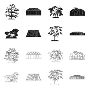 温室和植物标志的孤立对象。网站的温室和花园股票符号收集