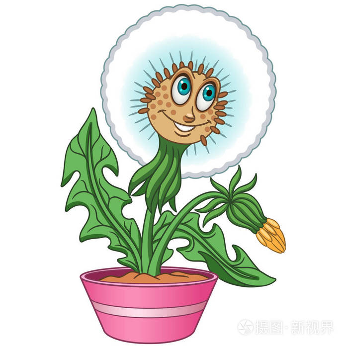 白色蒲公英 绒毛球花 盆栽的房子 快乐卡通设计为儿童着色书着色页t衬衫打印图标标志补丁贴纸 插画 正版商用图片136b7y 摄图新视界 白色蒲公英 绒毛球花 盆栽的房子 快乐卡通设计为儿童着色书着色页t衬衫打印图标标志补丁贴纸 插画 正版商用图片136b7y 摄图新视界
