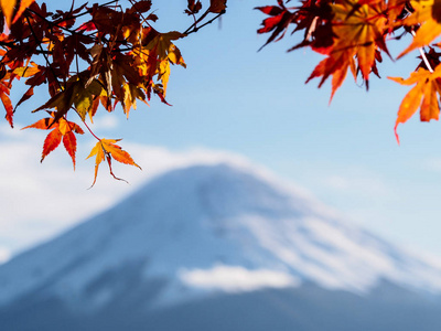 富士山背景上的红黄枫叶日本川美子湖