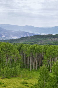 守卫山口的全景景观，中途和希伯山谷沿着山口前面的岩石山，夏季森林，云和暴雨。 犹他州美国。