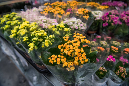在农贸市场的鲜花店里, 五颜六色的玫瑰花和其他花朵的花束