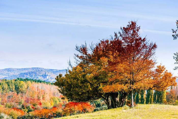 美丽的秋天景观旁边的本辛格罗德在沃尼戈德