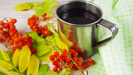 山灰的细枝浆果。用浆果在杯子里煮茶。