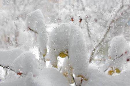 雪和冰