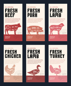 矢量屠夫现代风格标签。 美国美国牛肉猪肉羊肉鸡肉鸭子和火鸡图。