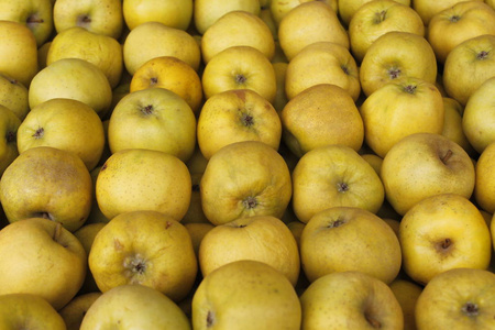 一堆成熟的新鲜采摘的有机脆黄金苹果在当地农产品农贸市场柜台。