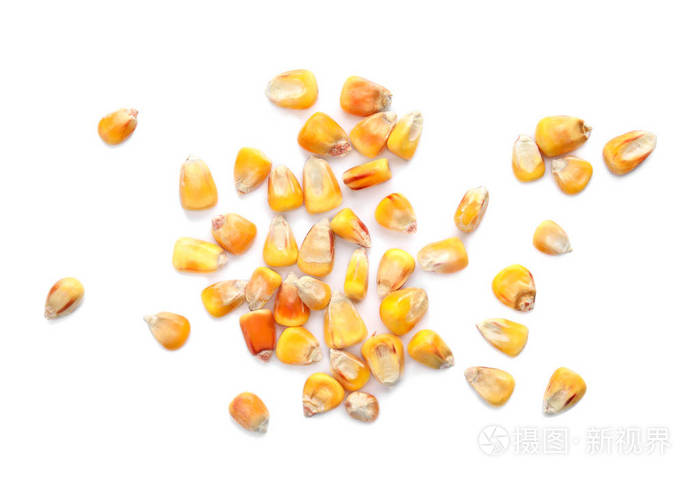 白色背景顶部视图中的干燥玉米粒