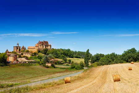农村夏季景观，田野上有干草捆，山顶上有城堡，背景是法国欧洲