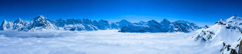 瑞士雪松的瑞士天际线令人叹为观止的全景