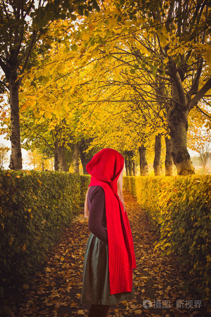 穿着红色长围巾的忧郁女人站在秋树的背景下. 季节性的看法和情绪.
