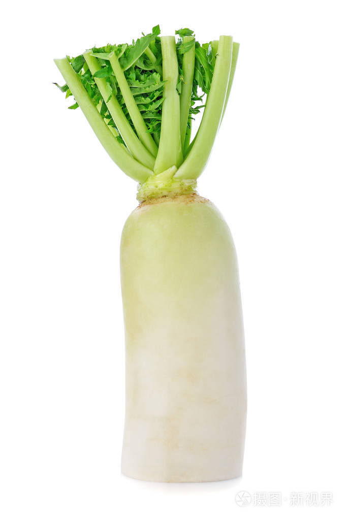 白色背景下分离的新鲜白萝卜