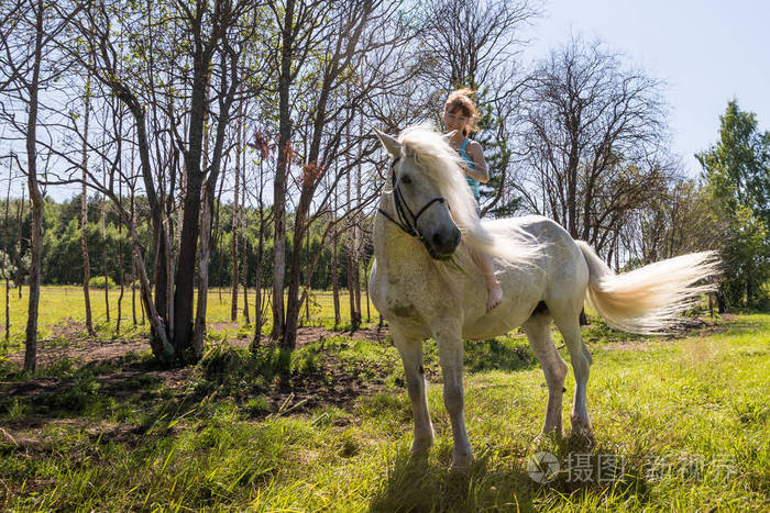 小女孩和白马在夏天阳光明媚的日子里大自然