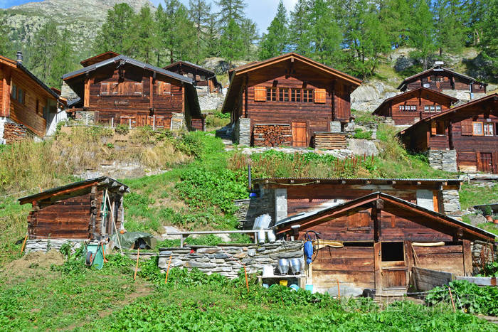 传统的瑞士山区小屋在山区夏季小村,小农场前景
