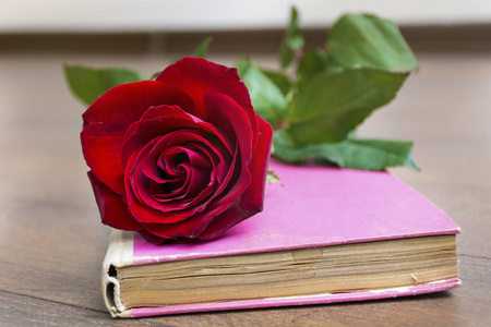 红玫瑰和粉红色的书。 情人节背景