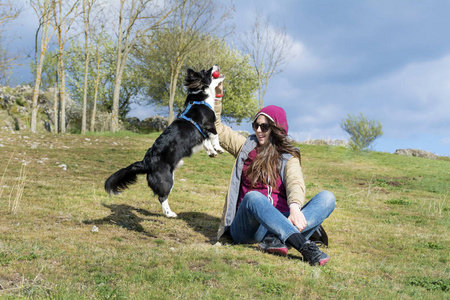 约克夏犬在公园的草地上玩耍一个年轻的女人,带着边境牧羊犬在绿色的