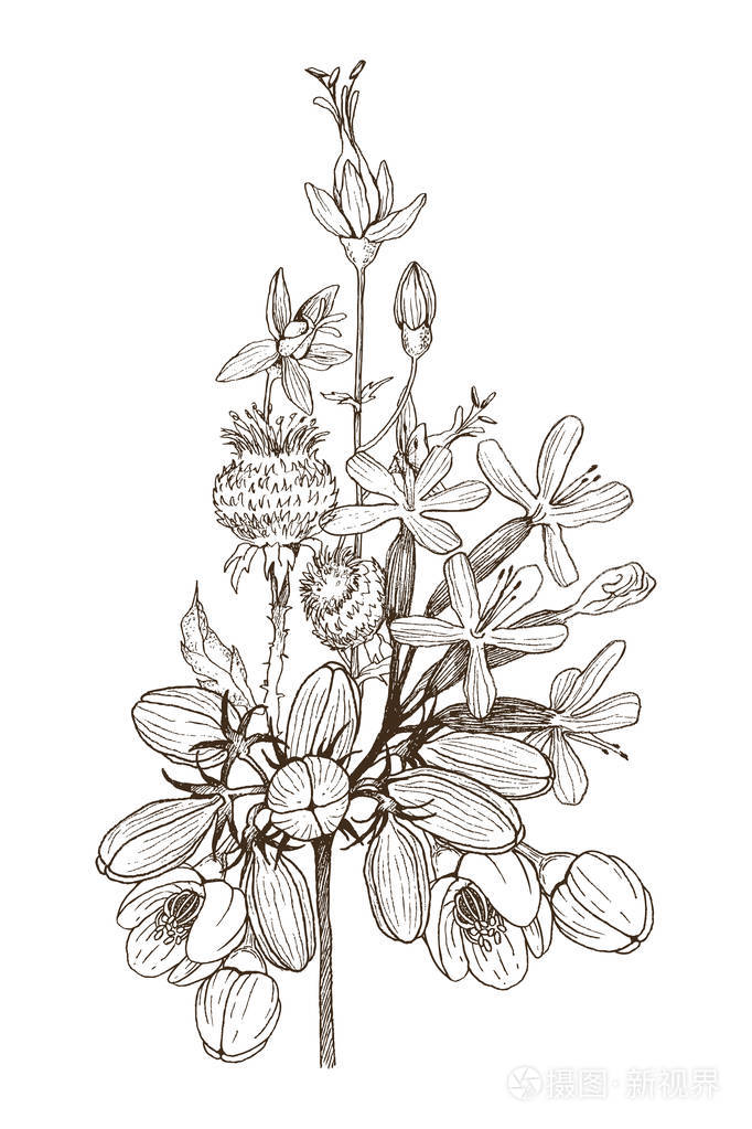 摄图新视界>插画>野生草本花的无缝模式.向量.手绘艺术品.