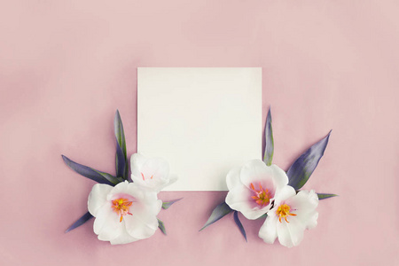 白色花朵，带有粉红色背景的复制空间