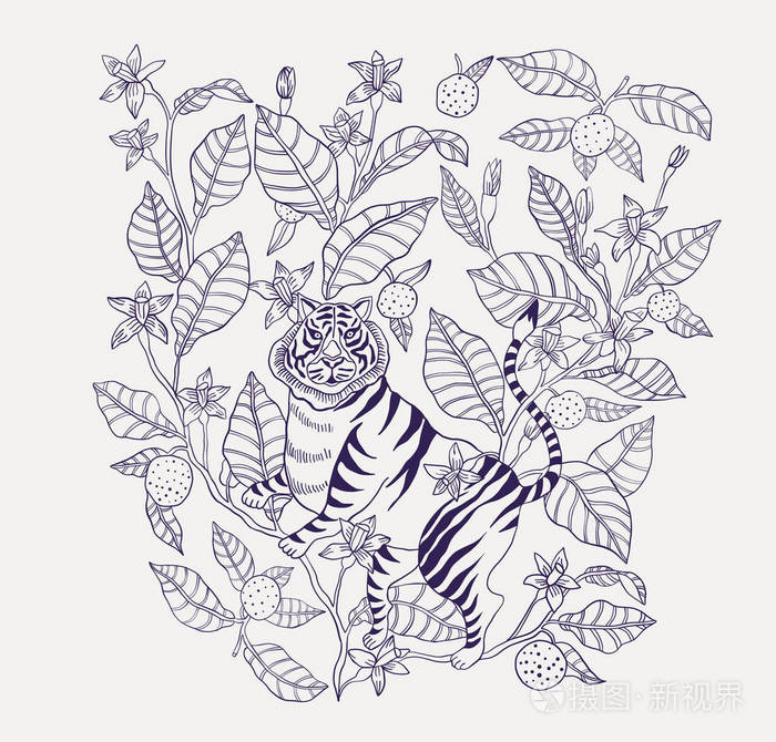 橙花. 老虎在橘子树上的素描与线条艺术