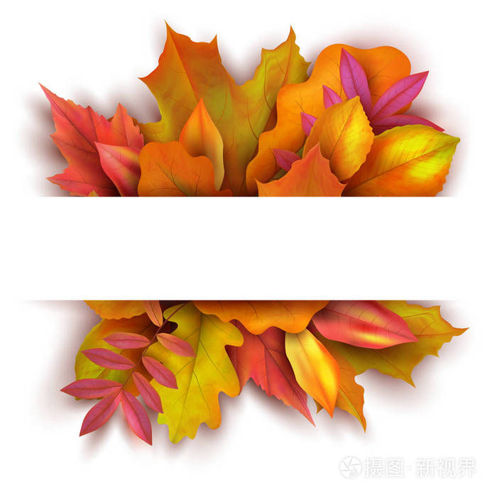 秋天背景与森林秋天叶子 10月节日自然矢量横幅设计插画 正版商用图片137b5d 摄图新视界