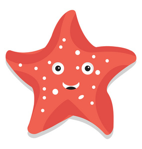 海洋无脊椎动物图片