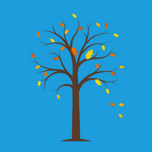 秋天树与黄色和橙色下落的叶子在蓝色背景
