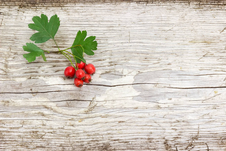 山楂树小枝红色果实的老裂木木板背景，位于左侧