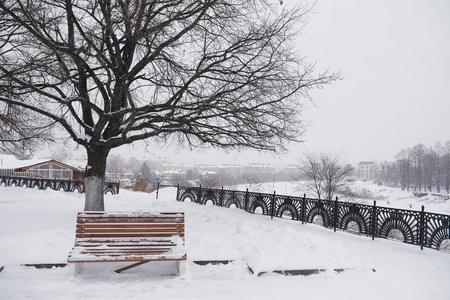 冬季城市景观。冬天的公园覆盖着雪。城市公园里一棵白雪覆盖的树下的长凳。