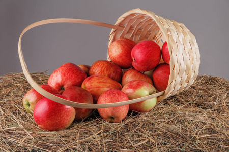 熟透的红苹果放在漂亮的草篮子里